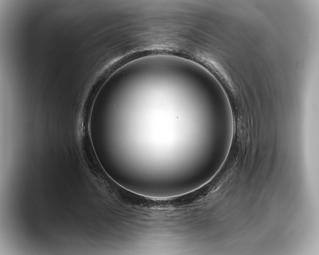 X0000088750628200705311512