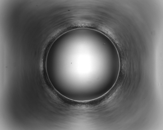 X0000088750629200705311512