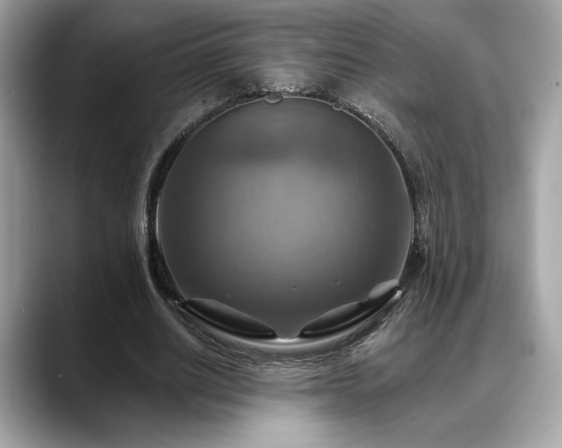 X0000088750630200705311512