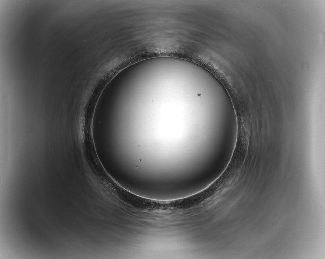 X0000088750631200705311512