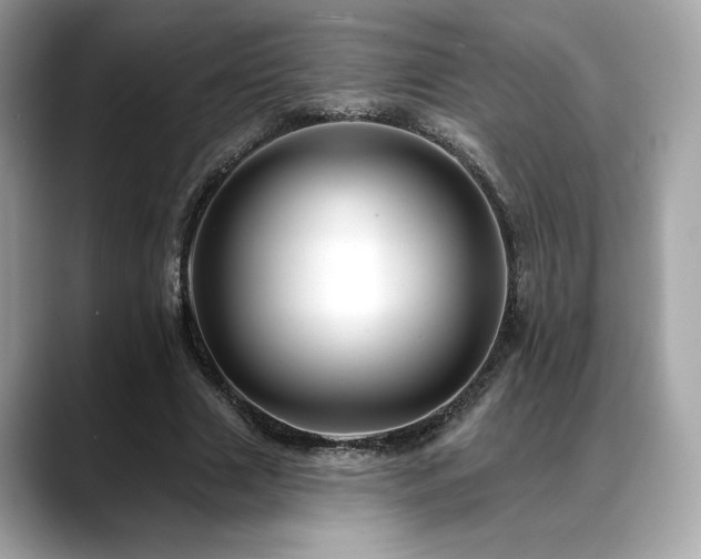 X0000088750633200705311512