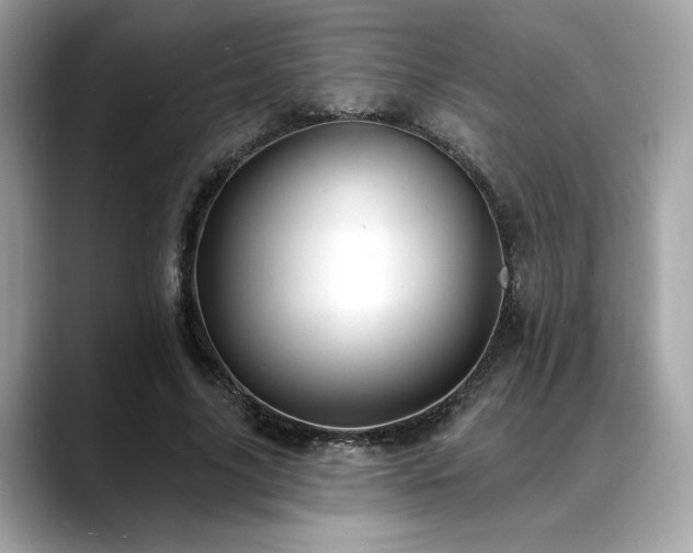 X0000088750635200705311512
