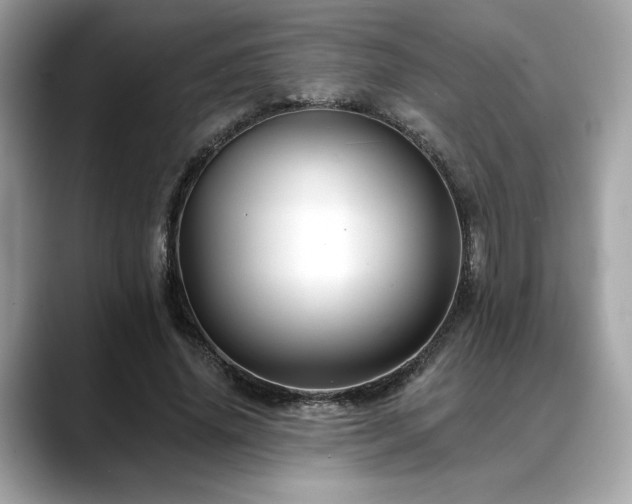X0000088750636200705311512
