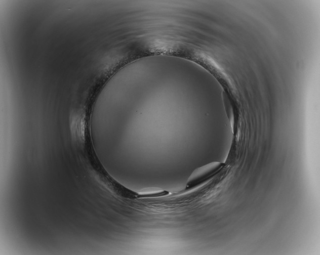 X0000088750637200705311512