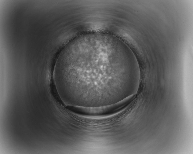 X0000088750640200705311513