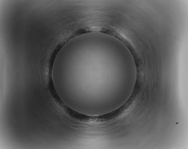 X0000088750641200705311513