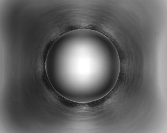 X0000088750642200705311513