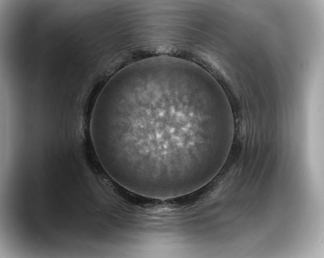 X0000088750643200705311513