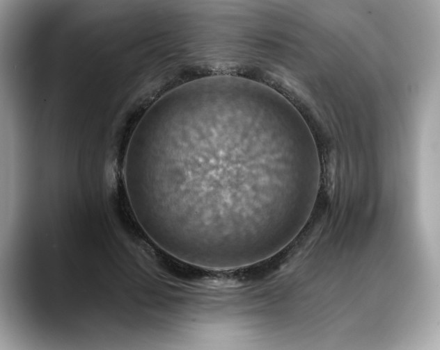 X0000088750644200705311513