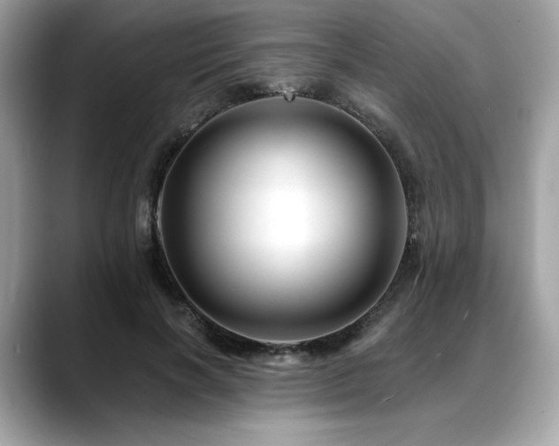 X0000088750646200705311513