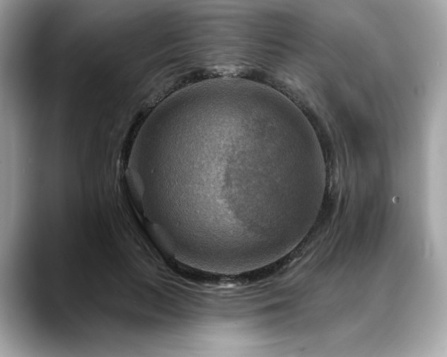 X0000088750647200705311513