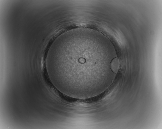 X0000088750648200705311513