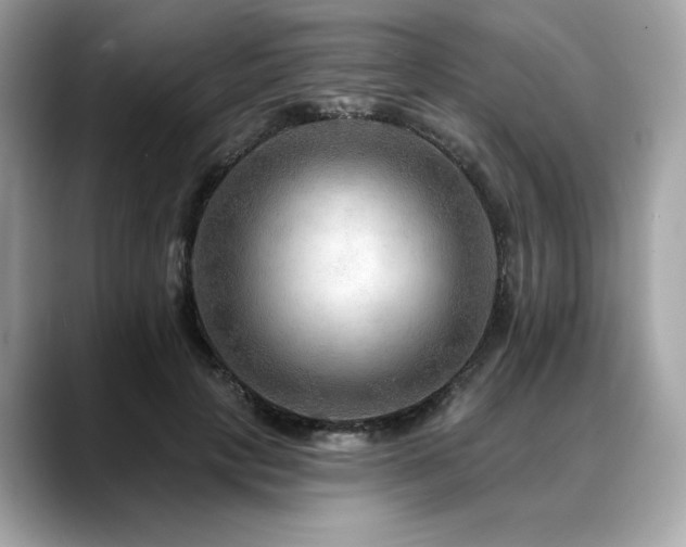 X0000088750649200705311513