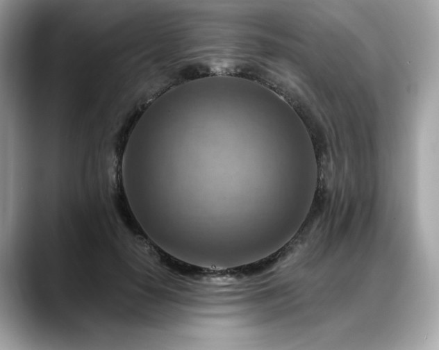 X0000088750650200705311513