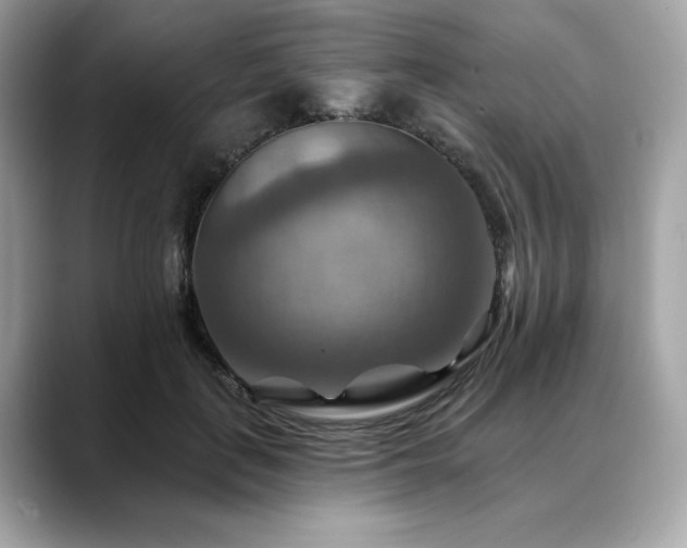 X0000088750651200705311513