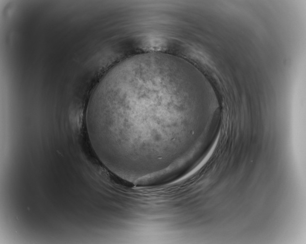 X0000088750652200705311513