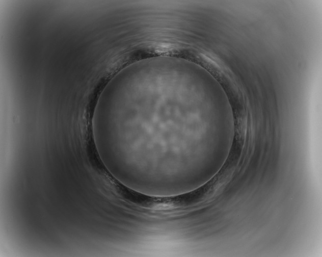 X0000088750653200705311513