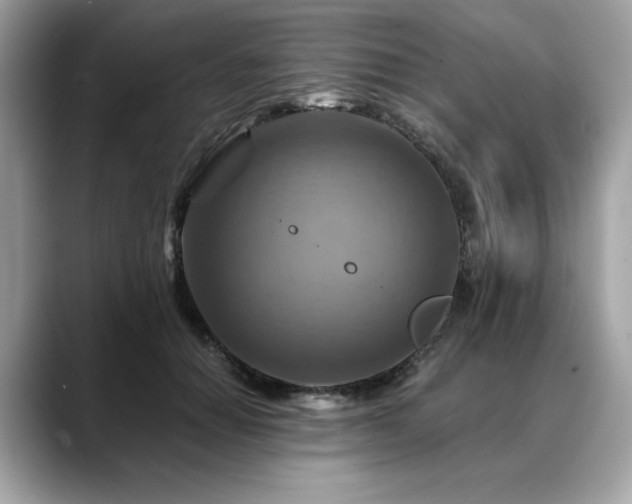 X0000088750654200705311513
