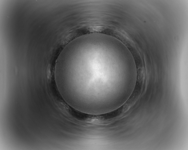 X0000088750655200705311513