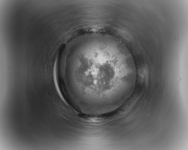 X0000088750657200705311513