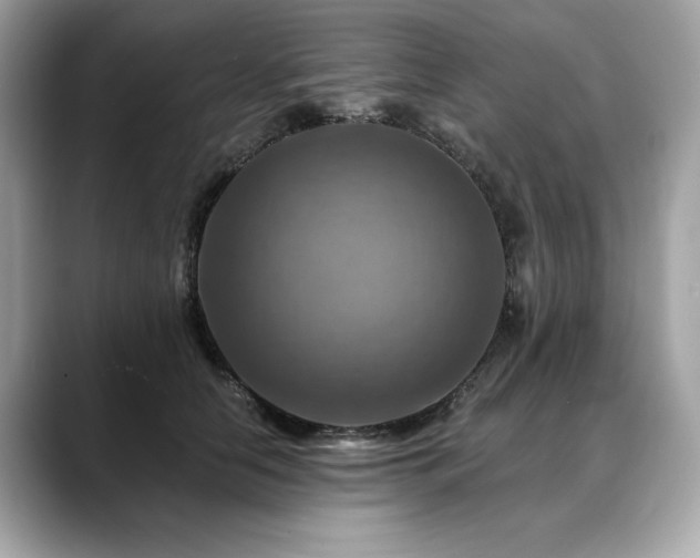 X0000088750658200705311513