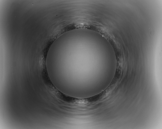 X0000088750659200705311513