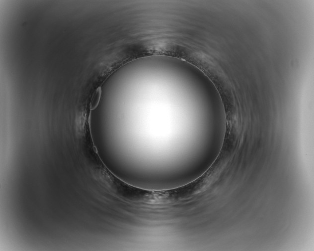 X0000088750660200705311513