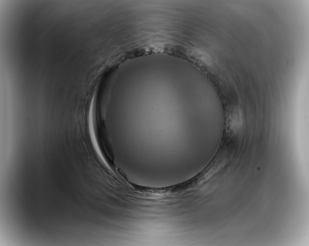 X0000088750661200705311513