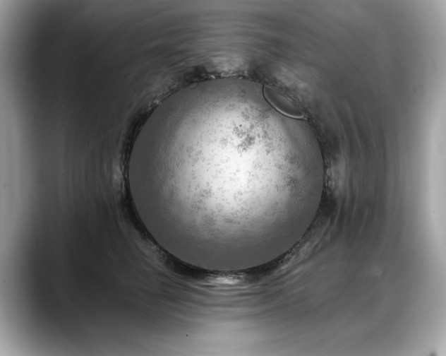 X0000088750662200705311513