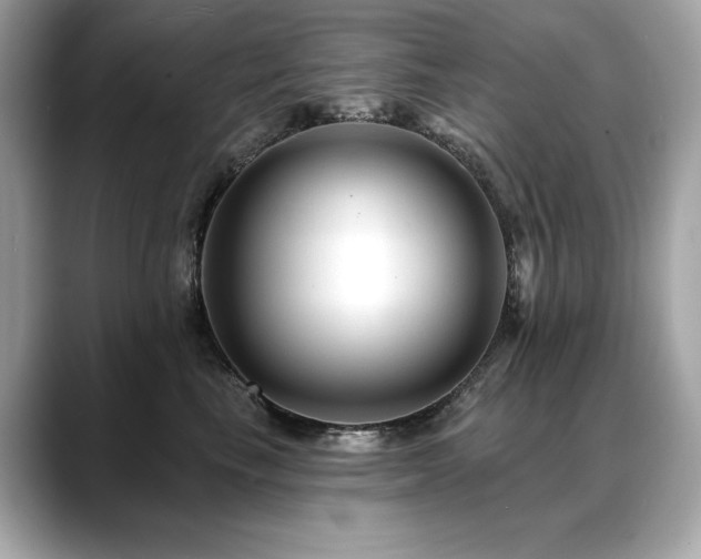X0000088750665200705311513