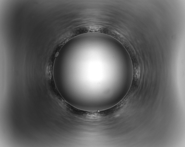 X0000088750666200705311513