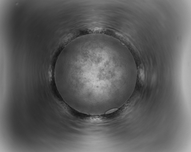 X0000088750668200705311513