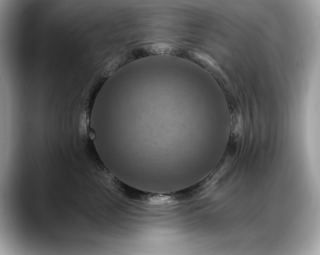 X0000088750669200705311513