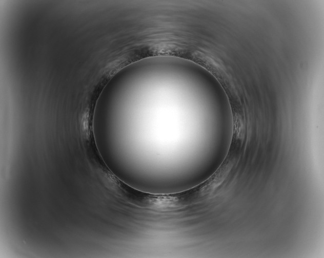 X0000088750670200705311513