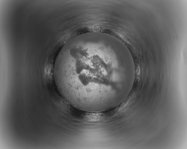 X0000088750671200705311513