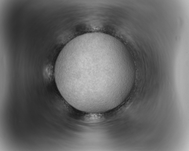 X0000088750672200705311513
