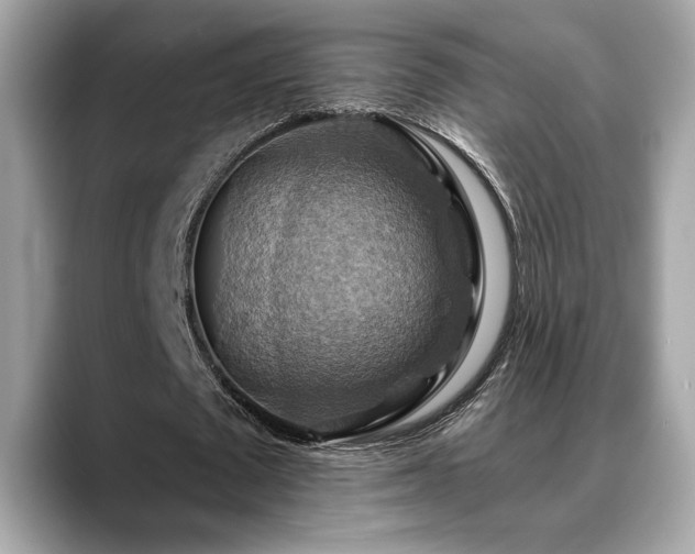 X0000088750673200705311512