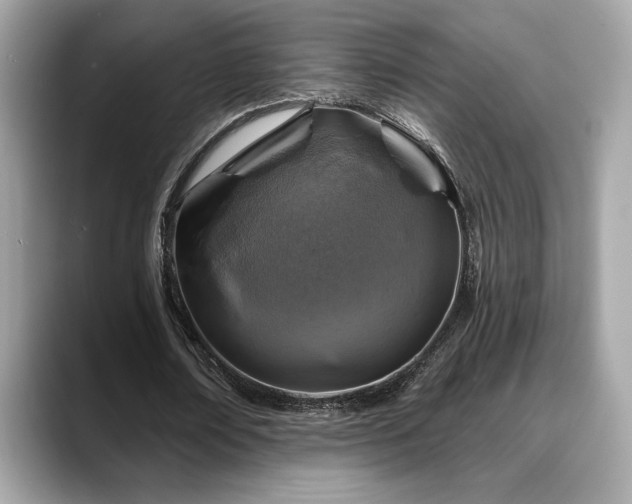 X0000088750674200705311512