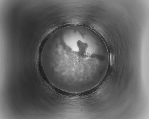 X0000088750675200705311512