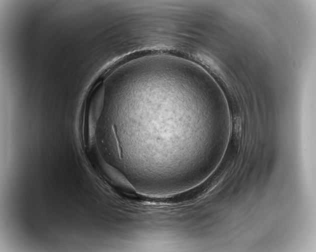 X0000088750676200705311512