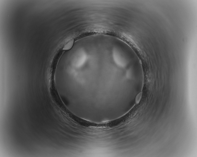 X0000088750679200705311512
