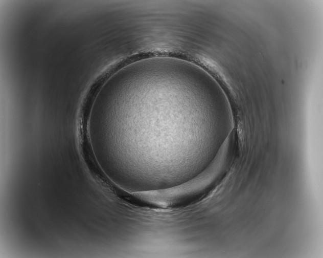 X0000088750680200705311512