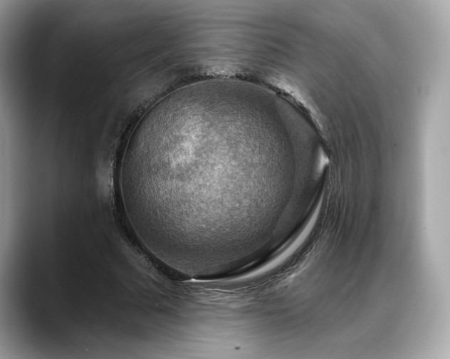 X0000088750681200705311512