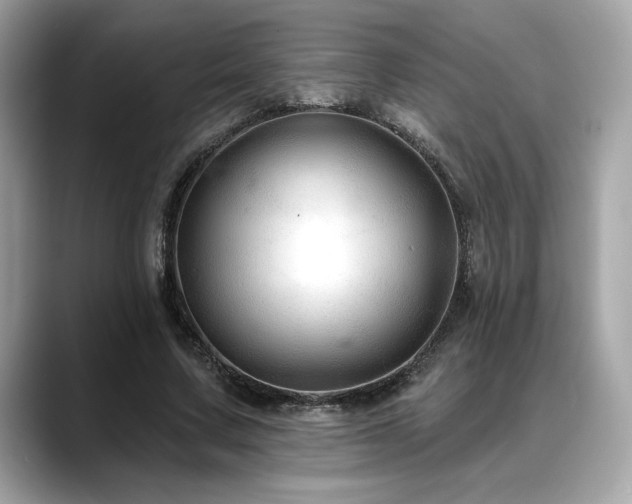 X0000088750683200705311512