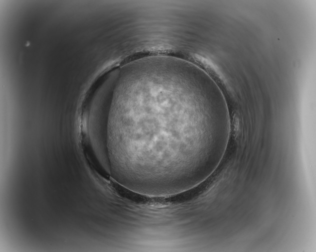 X0000088750684200705311512