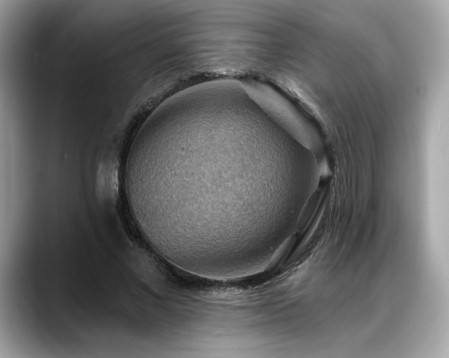 X0000088750685200705311512