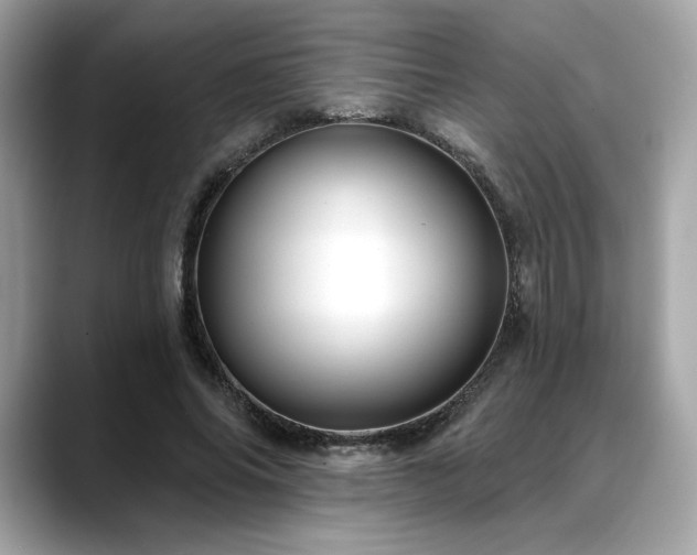 X0000088750686200705311512
