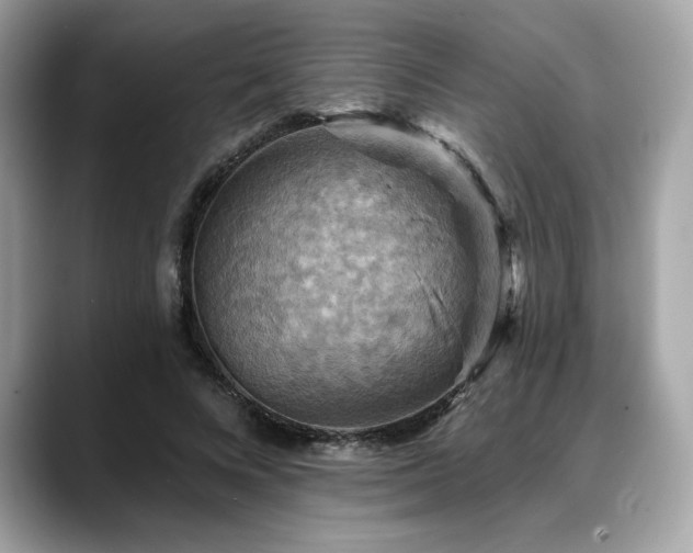 X0000088750688200705311512