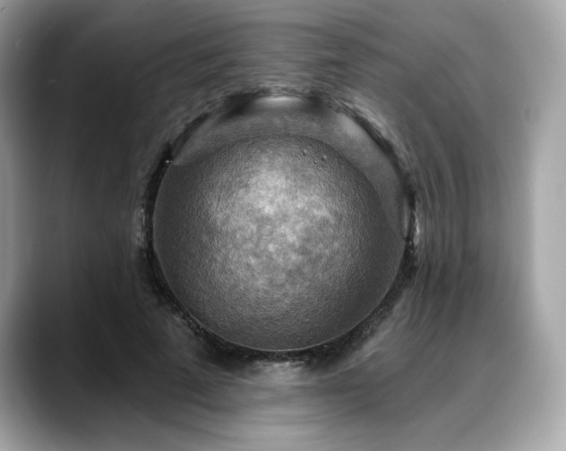 X0000088750689200705311512