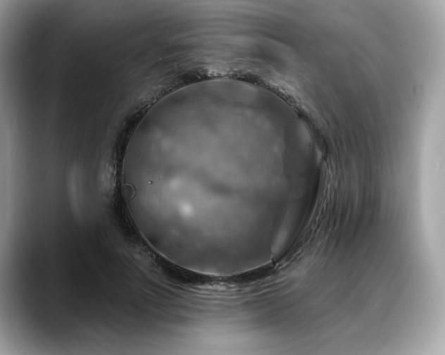 X0000088750691200705311512